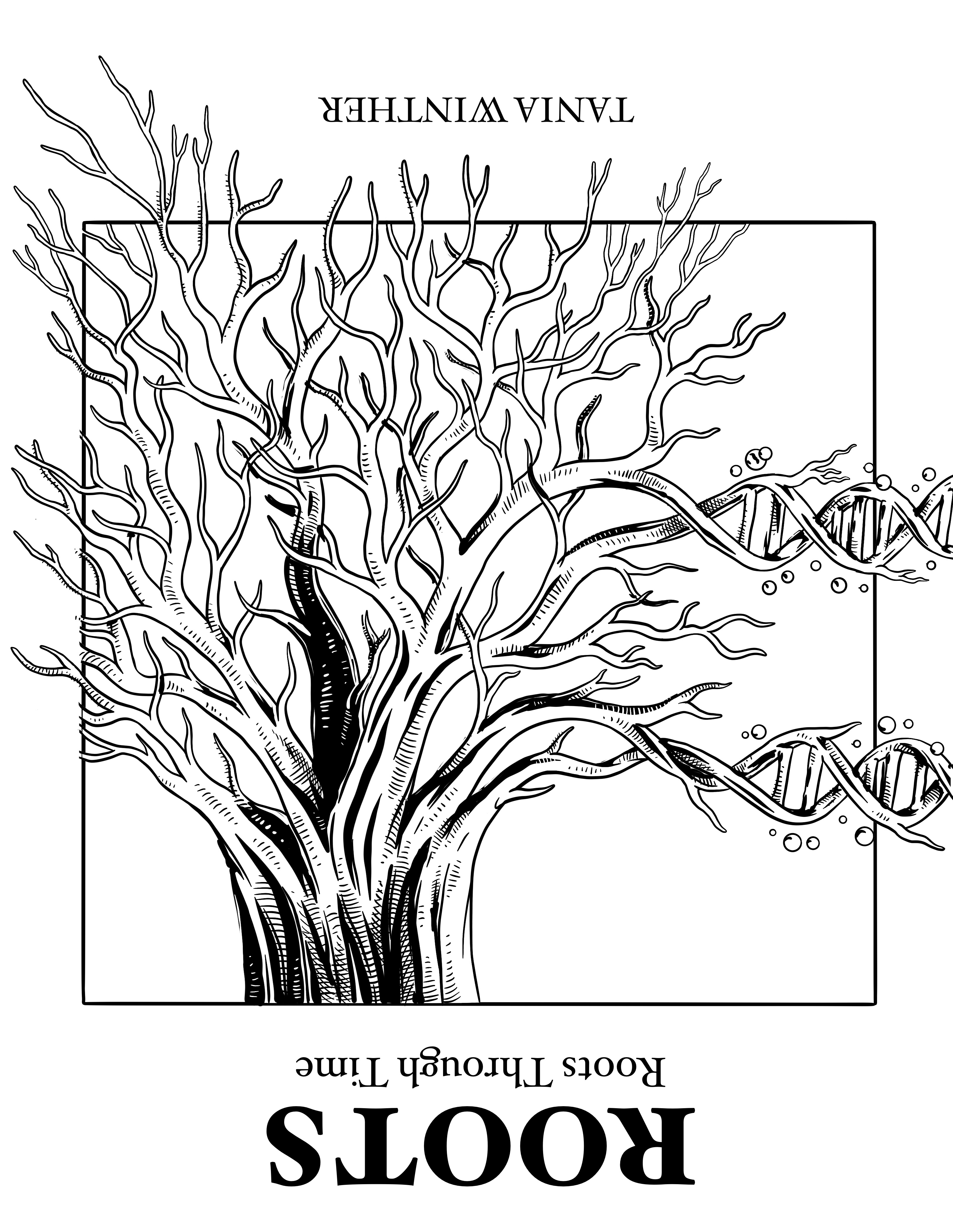 <span>TIME & ROOTS:</span> TIME & ROOTS